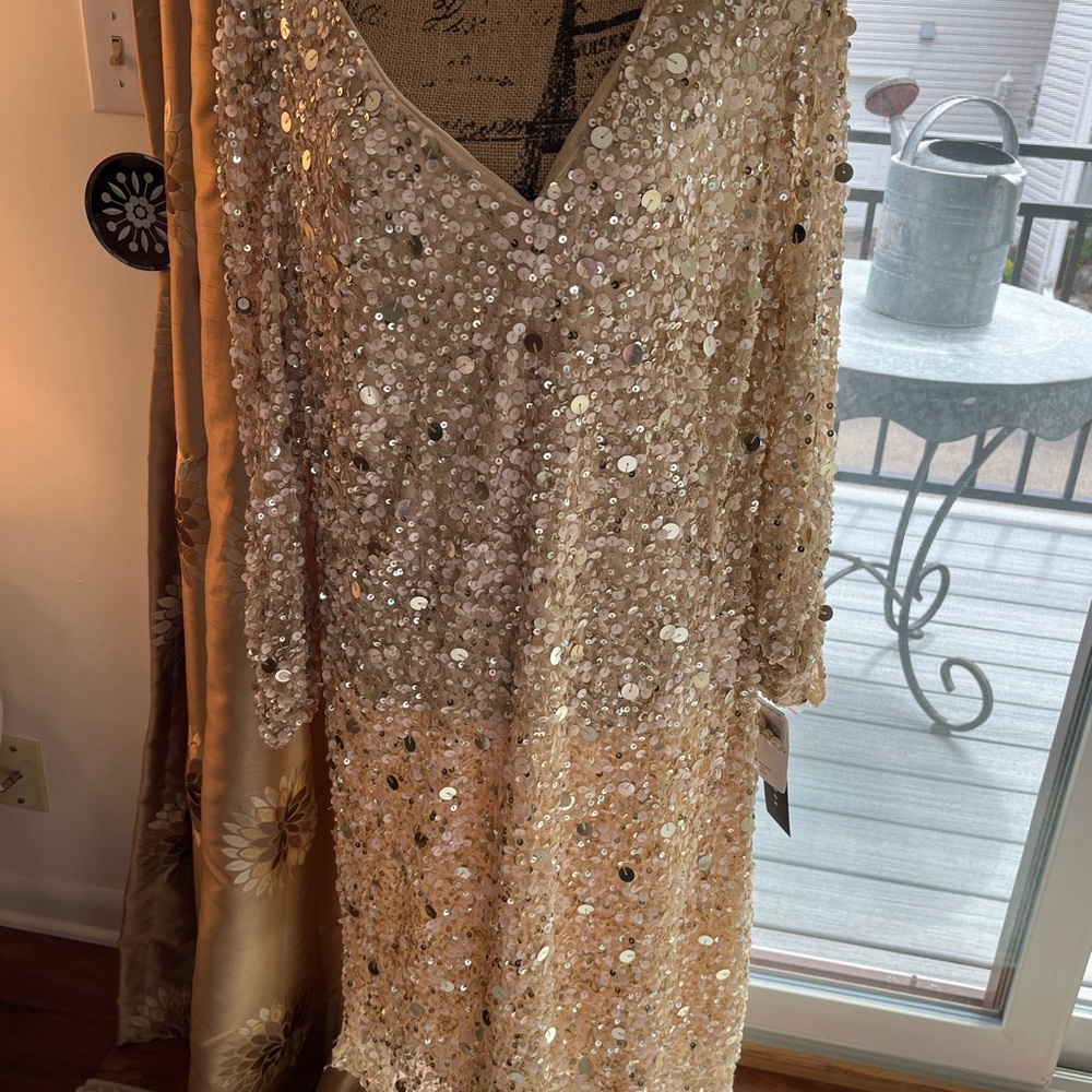 Aidan Mattox Champagne Sequin Long Sleeve Dress